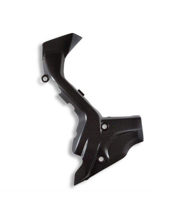 cover-pignone-in-carbonio-96982641aa-ducati-diavel-v4-rs