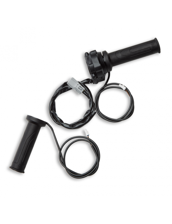 heated-grips-ducati-1260-96680702a