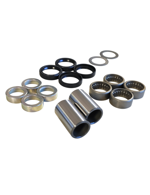 kit-gabbia-a-rulli-forcella-posteriore-oem-ducati-desmo-450-6992a201a